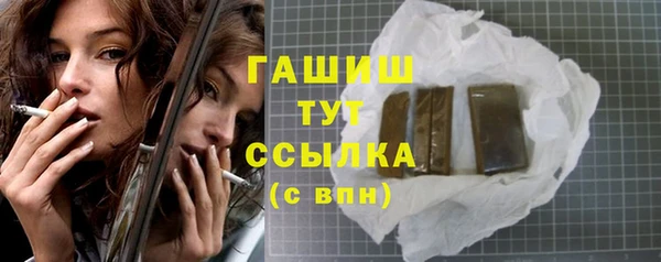 индика Вязники