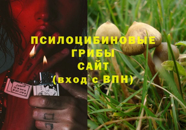 индика Вязники