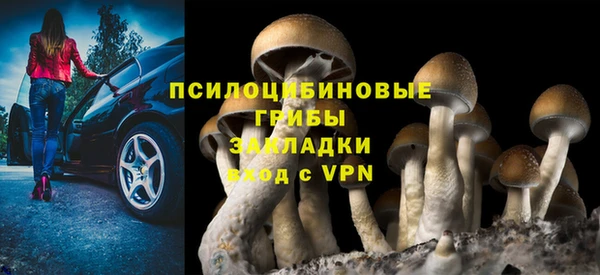 индика Краснотурьинск