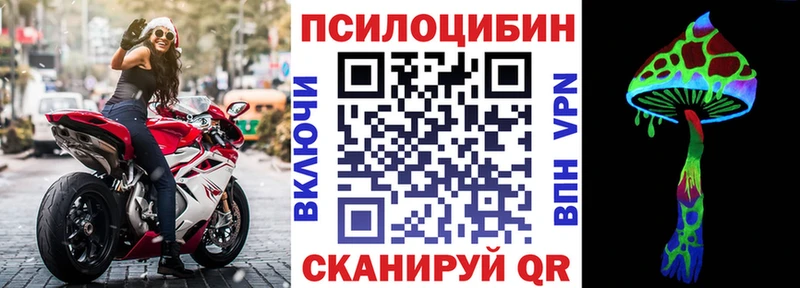 купить наркотики цена OMG как войти Галлюциногенные грибы MAGIC MUSHROOMS Кодинск